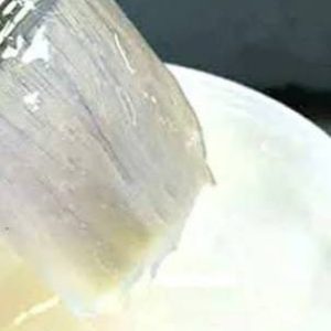 Gypsum Sealant ( Transparent